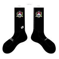 APEX Aero Race Socks