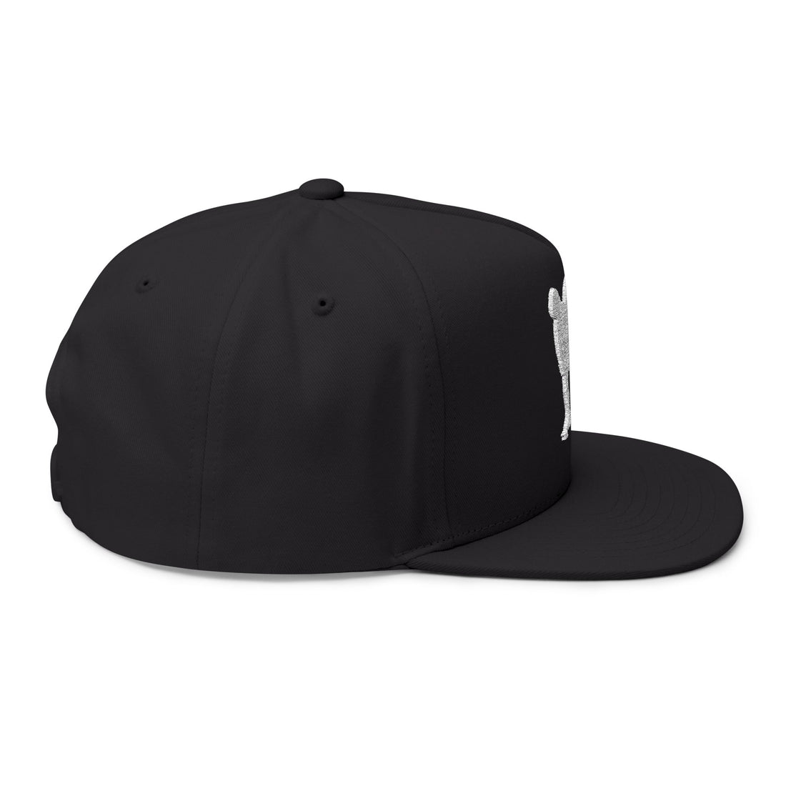 Embroidered KW Skate Push Black Flat Bill Cap Snapback