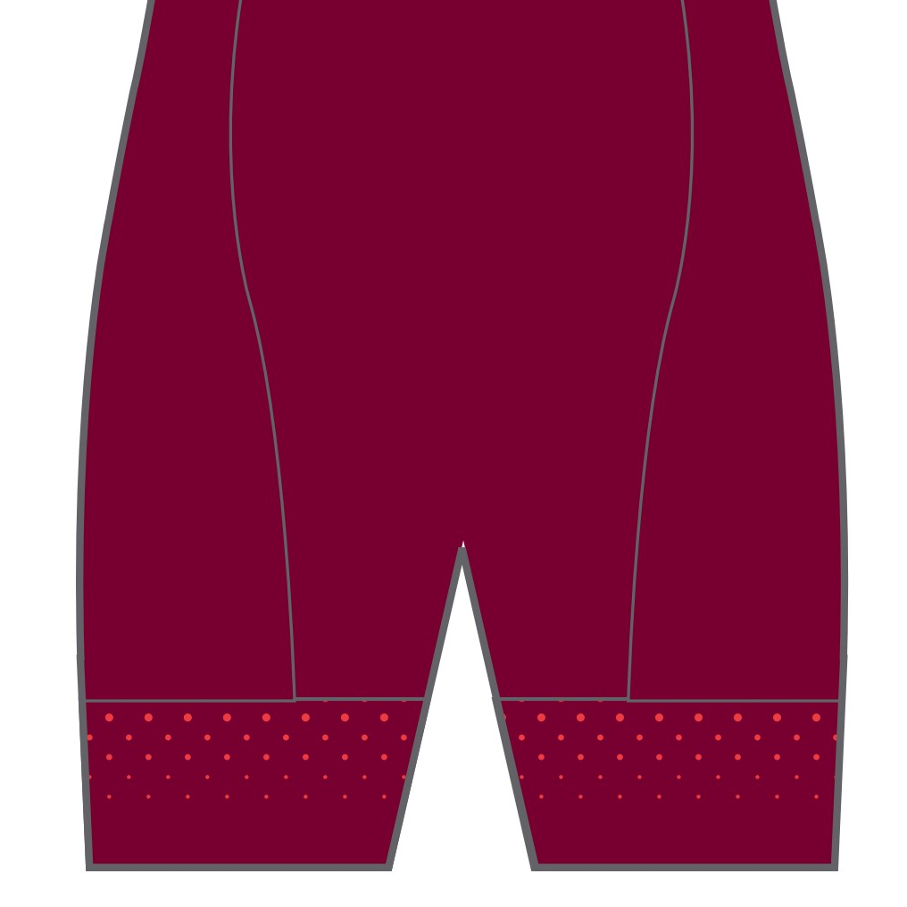 PERFORMANCE Cycling Shorts  (non-bib strap)
