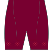 PERFORMANCE Cycling Shorts  (non-bib strap)
